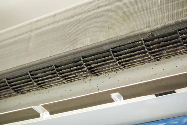 Best Affordable Duct Cleaning Services  in Charlotte Hall, MD